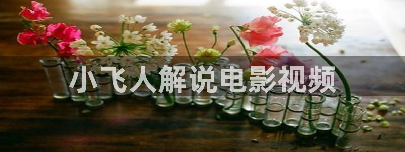 星空传媒影视mv免费：小飞人解说电影视频