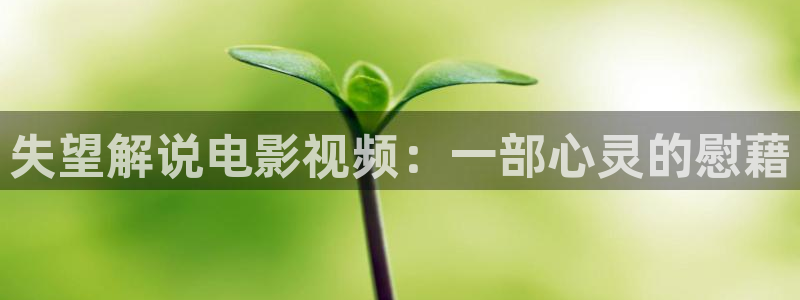 星空盒子影院影视大全免费观看：失望解说电影视频：一部心灵的慰藉