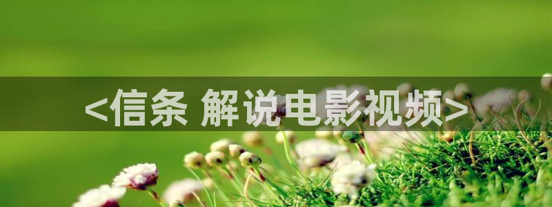 星空下的誓言电影